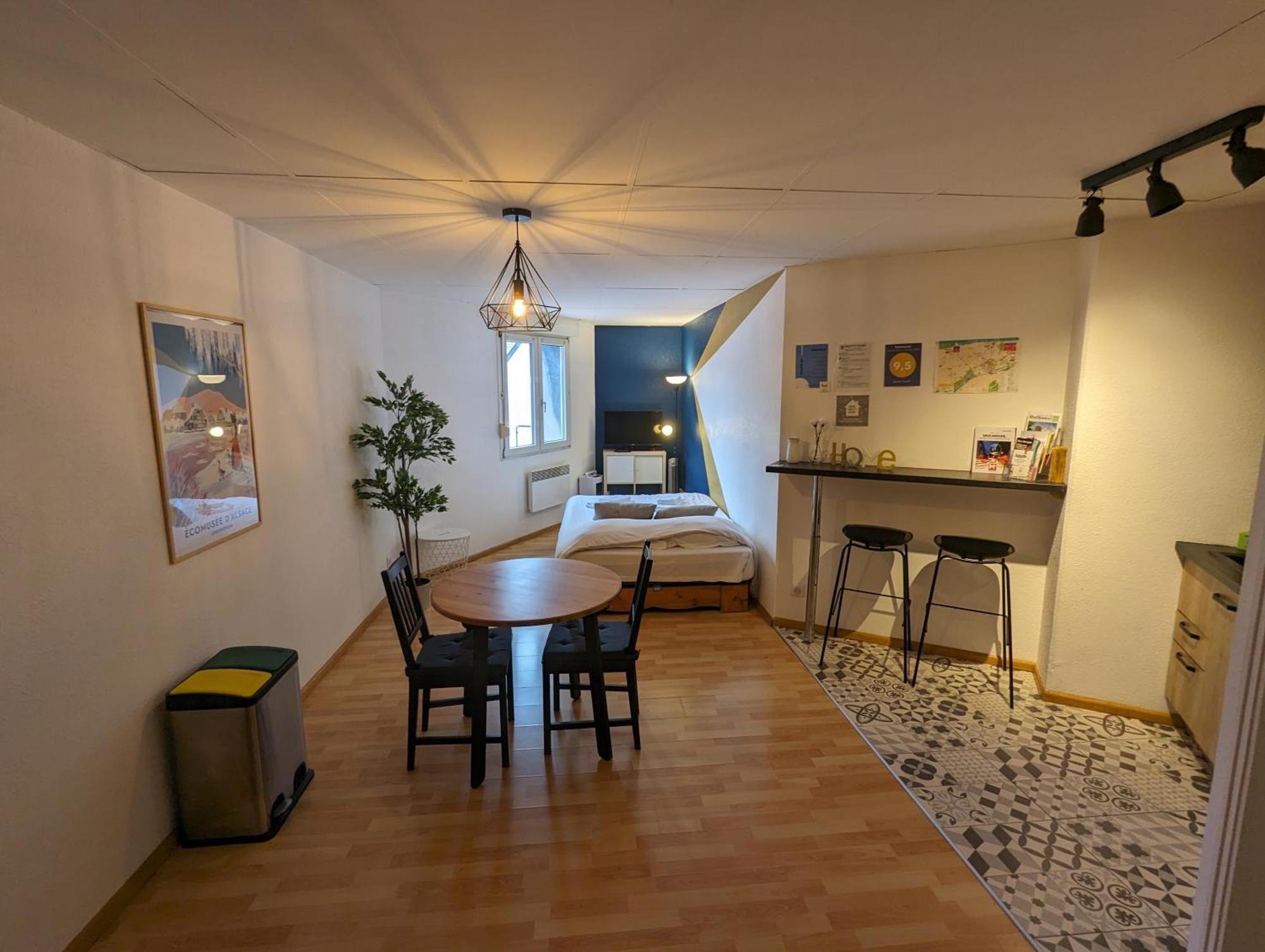 Ton Petit Studio - Le 62 - Coeur De Ville Mulhouse Eksteriør billede