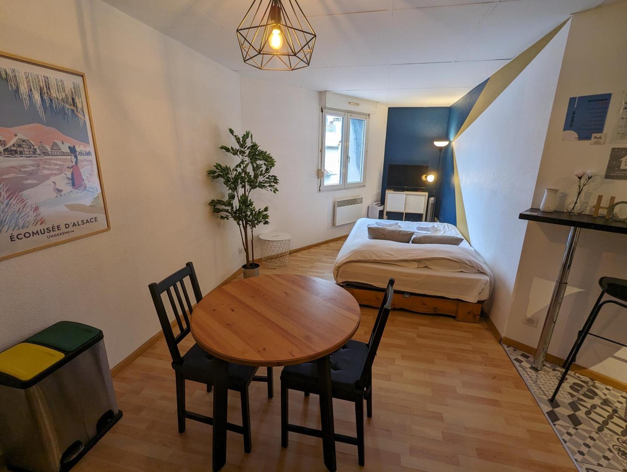 Ton Petit Studio - Le 62 - Coeur De Ville Mulhouse Eksteriør billede